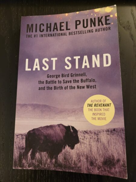 Last Stand Punke