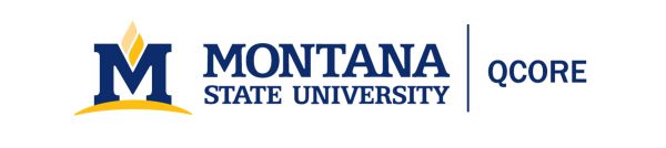 QCORE MSU