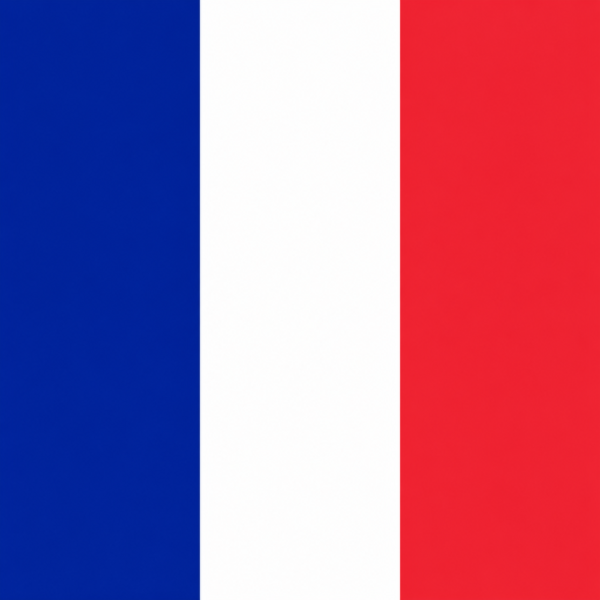 French flag France