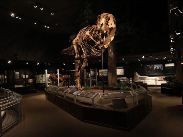 Museum of the Rockies