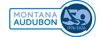 Montana Audubon